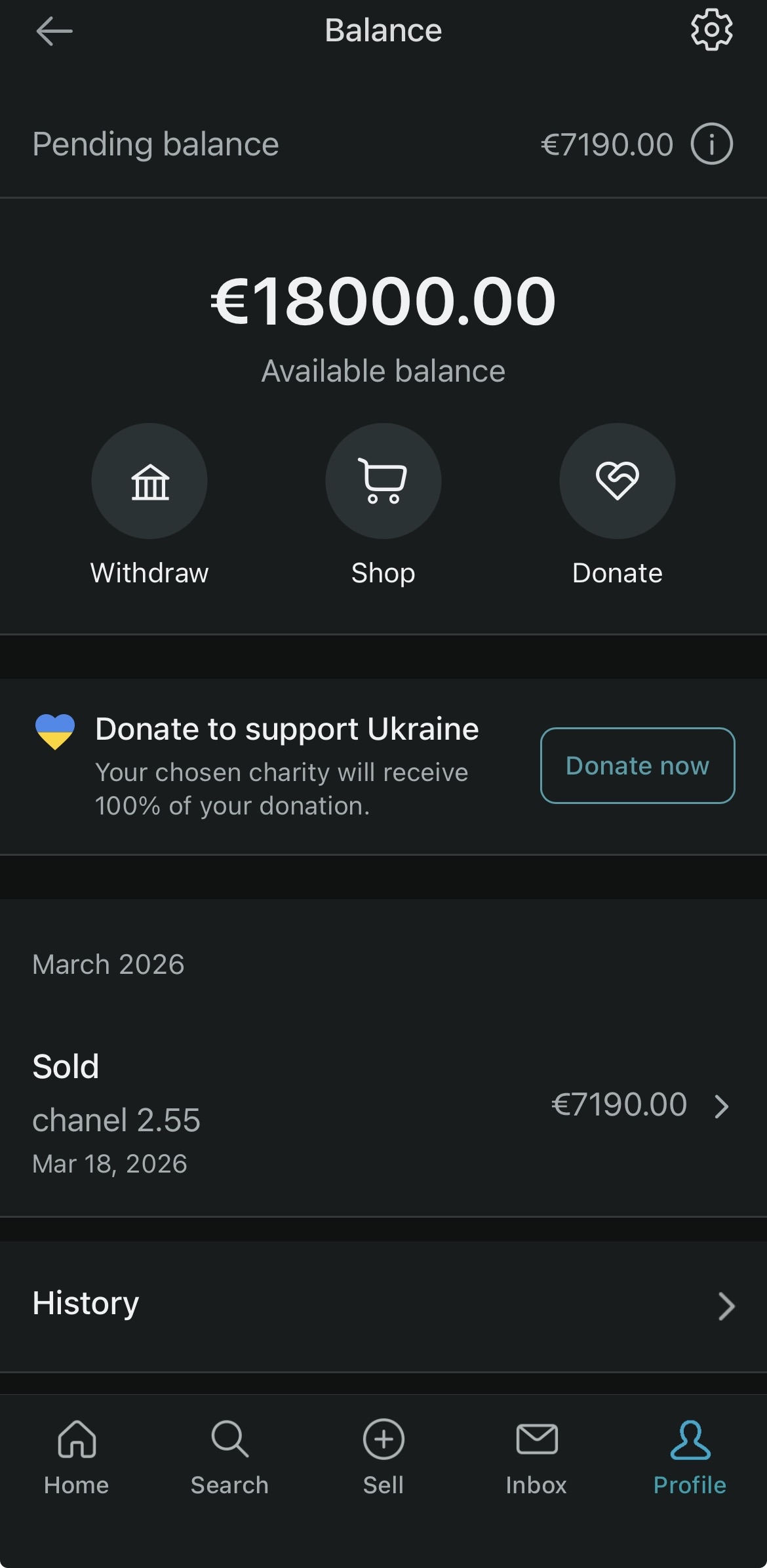 Vinted Balance